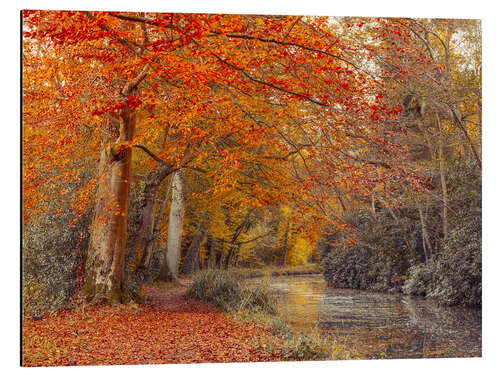 Alumiinitaulu Autumn Canal