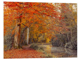 Foam board print Autumn Canal