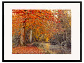 Framed art print Autumn Canal