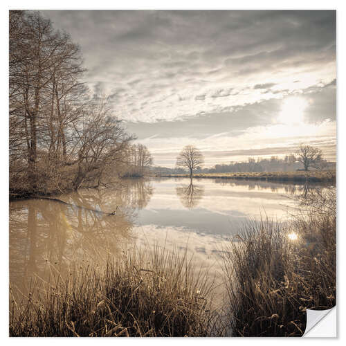 Wall sticker Sepia Lake Sunrise