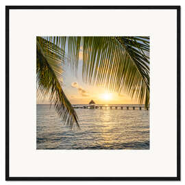 Innrammet kunsttrykk Sunset on the palm beach