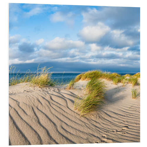 Bilde på skumplate Dune landscape in the sunlight