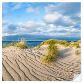 Selvklæbende plakat Dune landscape in the sunlight