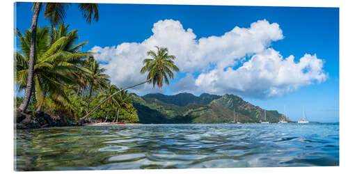 Quadro em acrílico Opunohu Bay on Moorea