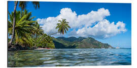 Alubild Opunohu Bay auf Moorea