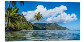 Foam board print Opunohu Bay on Moorea