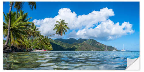 Naklejka na ścianę Opunohu Bay on Moorea