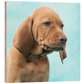 Hout print Sweet Vizsla puppy