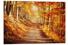 Foam board print Autumn forest with bright colors