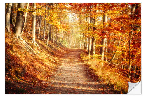 Vinilo para la pared Autumn forest with bright colors