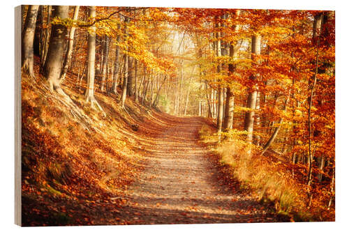 Holzbild Herbstwald mit leuchtenden Farben