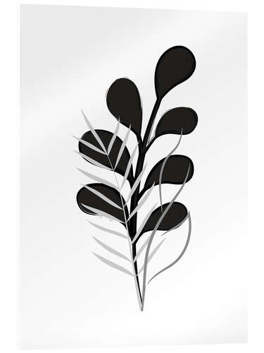 Acrylic print Grass Plant b/w I