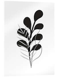 Acrylglasbild Grass Plant b/w I