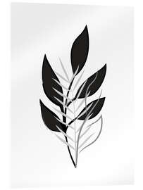 Acrylglasbild Grass Plant b/w II