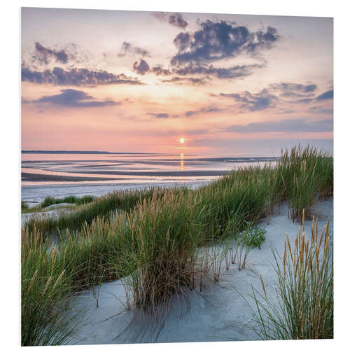 Foam board print Dune landscape at sunset