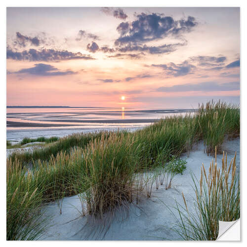 Sisustustarra Dune landscape at sunset