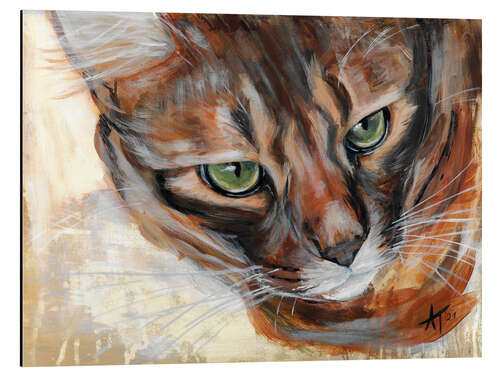 Aluminium print Attentive cat