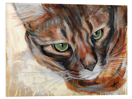 Foam board print Attentive cat