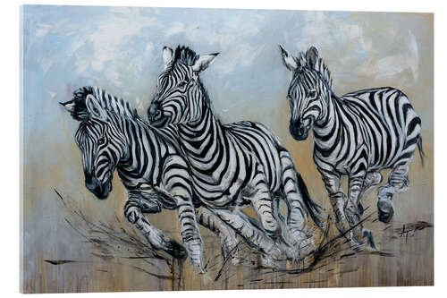 Acrylic print The zebra herd