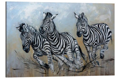 Aluminium print The zebra herd