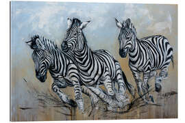 Cuadro de plexi-alu The zebra herd