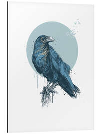 Cuadro de aluminio Blue Crow