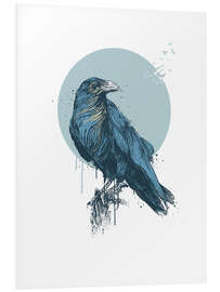 Stampa su PVC Blue Crow