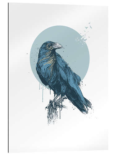 Gallery print Blue Crow