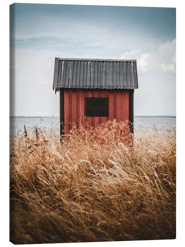 Lærredsbillede Red little cabin