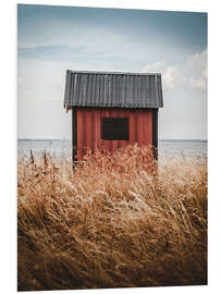 Foam board print Red little cabin