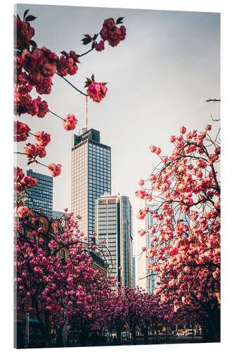 Stampa su vetro acrilico High-rise buildings with cherry blossoms, Frankfurt