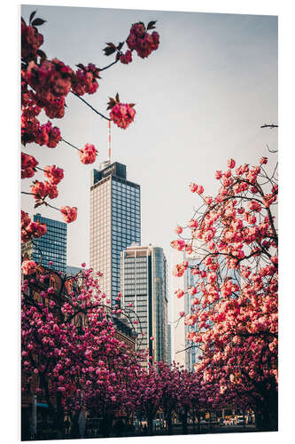 Foam board print High-rise buildings with cherry blossoms, Frankfurt