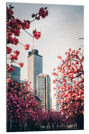 Tableau en plexi-alu High-rise buildings with cherry blossoms, Frankfurt