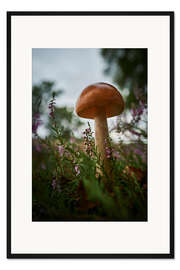 Gerahmter Kunstdruck Pilz in der Heide