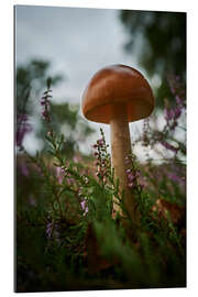 Quadro em plexi-alumínio Mushroom in the heather