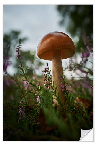 Wandsticker Pilz in der Heide