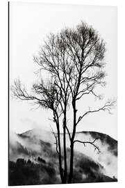 Magnettafel Rocky Mountains