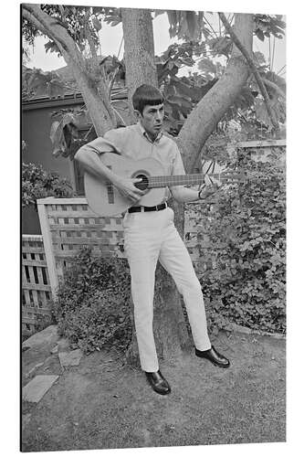 Aluminiumsbilde Leonard Nimoy plays guitar, 1966