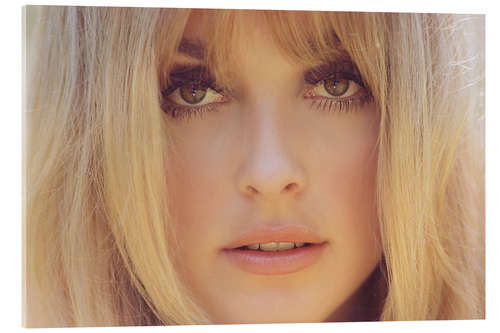 Tableau en verre acrylique Sharon Tate, 1966
