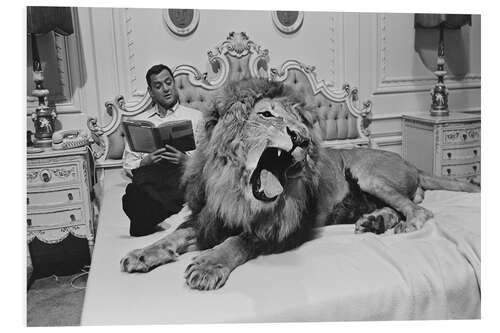 Obraz na PCV Tony Randall with lion Zamba, 1965