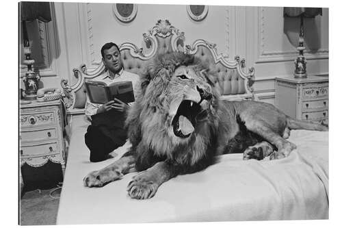 Gallery print Tony Randall with lion Zamba, 1965