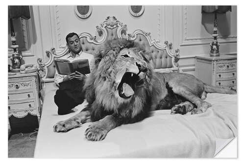 Wall sticker Tony Randall with lion Zamba, 1965