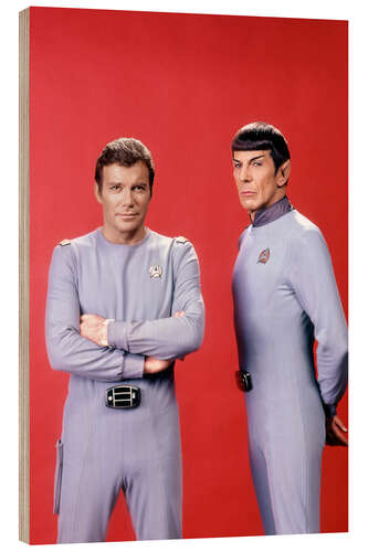 Tableau en bois Star Trek: Le Film, 1979