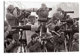 Cuadro de aluminio Photojournalists document a spy swap in West Berlin, 1986