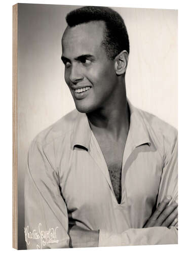 Stampa su legno Harry Belafonte