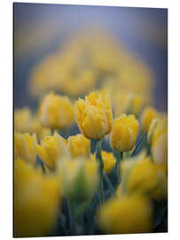 Magnettafel Im gelben Meer