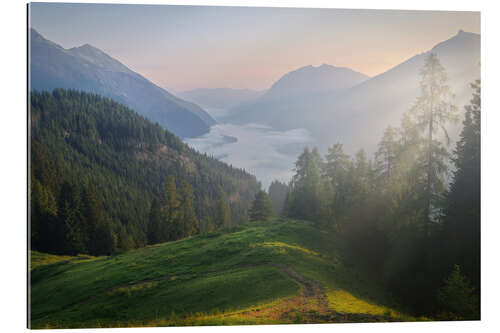 Gallery print Lake in the fog