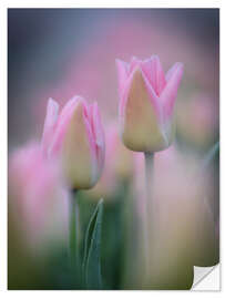 Naklejka na ścianę Tulips in pink