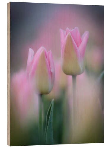 Holzbild Tulpen in rosa