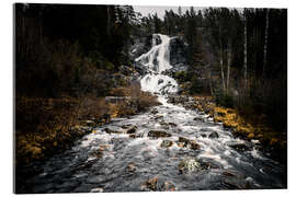 Akrylbilde Forests in Sweden, Älga waterfall Älgafallet